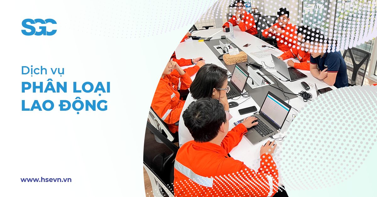 Dịch vụ phân loại lao động SGCo